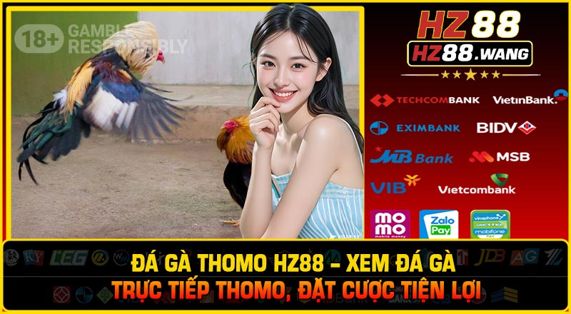 Đá Gà Thomo HZ88 – Xem Đá Gà Trực Tiếp Thomo, Đặt Cược Tiện Lợi
