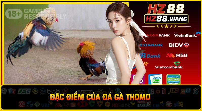 Đặc điểm của đá gà Thomo