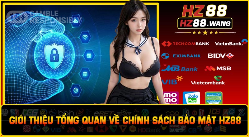 Giới Thiệu Tổng Quan Về Chính Sách Bảo Mật HZ88