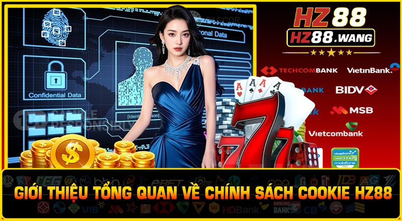 Giới Thiệu Tổng Quan Về Chính Sách Cookie HZ88