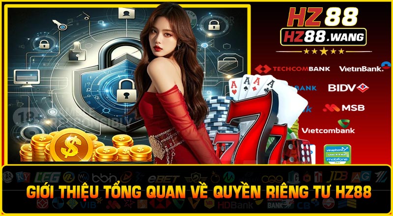 Giới Thiệu Tổng Quan Về Quyền Riêng Tư HZ88