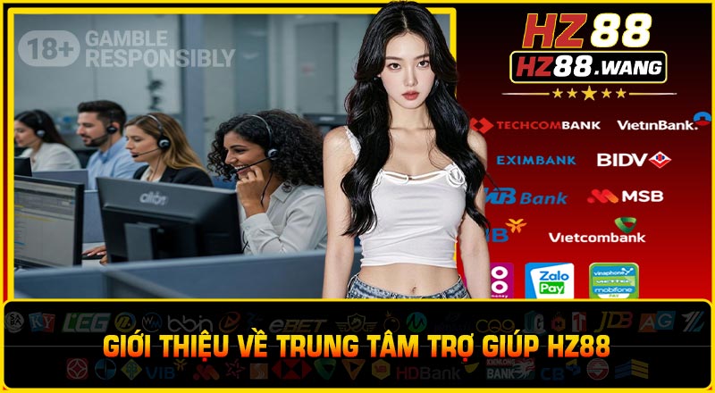 Giới Thiệu Về Trung Tâm Trợ Giúp HZ88