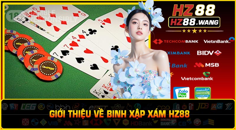 Giới thiệu về Binh Xập Xám HZ88
