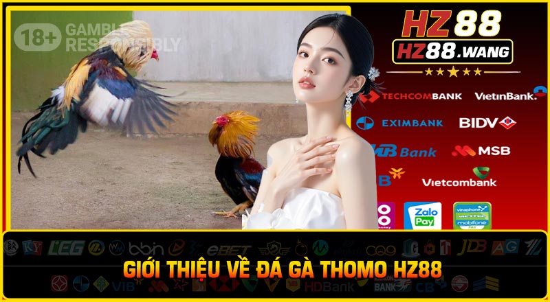 Giới thiệu về Đá gà Thomo HZ88